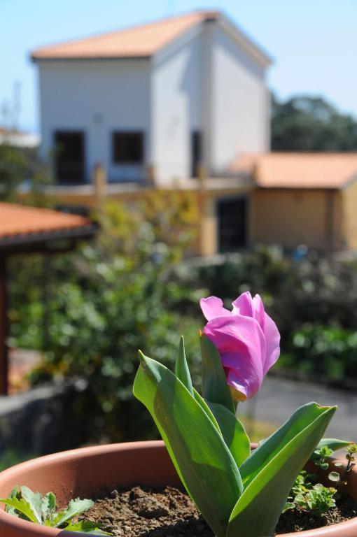 La Circumetnea Home CTA Exteriér fotografie