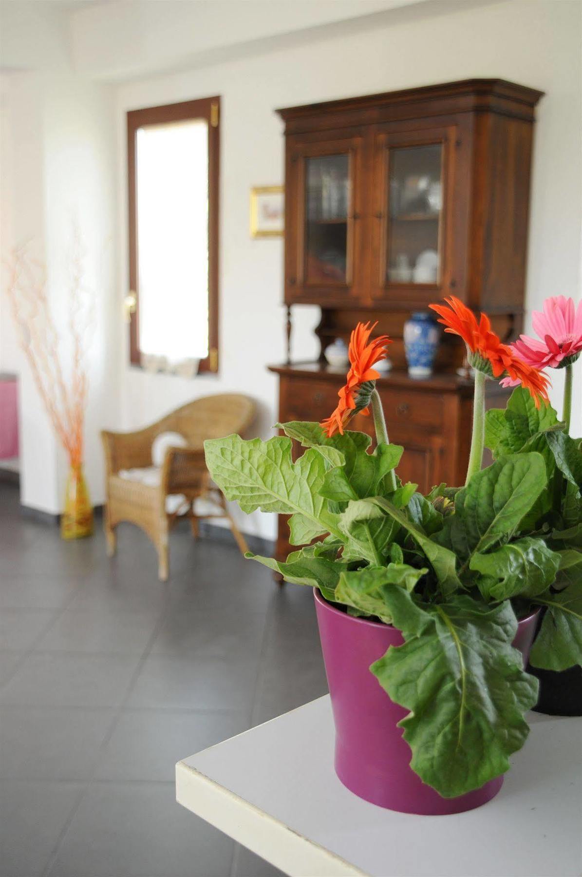 La Circumetnea Home CTA Exteriér fotografie